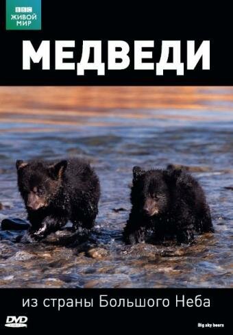 Обложка (Постер) BBC: Медведи из страны большого неба / Big Sky Bears (2006) HDRip Обложка (Постер) BBC: Медведи из страны большого неба / Big Sky Bears (2006) HDRip