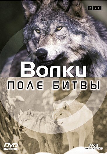 Обложка (Постер) BBC: Поле битвы: Волки / Wolf Battlefield (2002) HDRip