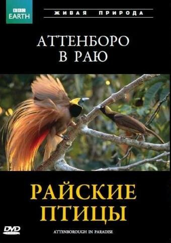 Обложка (Постер) BBC: Райские птицы / Attenborough in Paradise (1996) HDRip