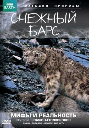 Обложка (Постер) BBC: Снежный барс: Мифы и реальности / Natural World: Snow Leopard - Beyond the Myth (2007) HDRip Обложка (Постер) BBC: Снежный барс: Мифы и реальности / Natural World: Snow Leopard - Beyond the Myth (2007) HDRip