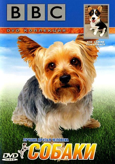 Обложка (Постер) BBC: Собаки / BBC: The Canine Conspiracy (2002) HDRip Обложка (Постер) BBC: Собаки / BBC: The Canine Conspiracy (2002) HDRip