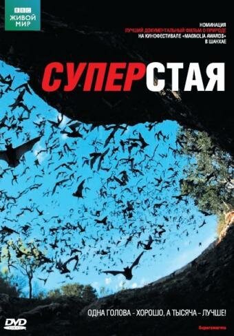 Обложка (Постер) BBC: Суперстая / SuperSwarm: Nature's Incredible Invasions (2009) HDRip Обложка (Постер) BBC: Суперстая / SuperSwarm: Nature's Incredible Invasions (2009) HDRip