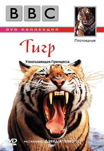 Обложка (Постер) BBC: Тигр / Tiger (1999) HDRip