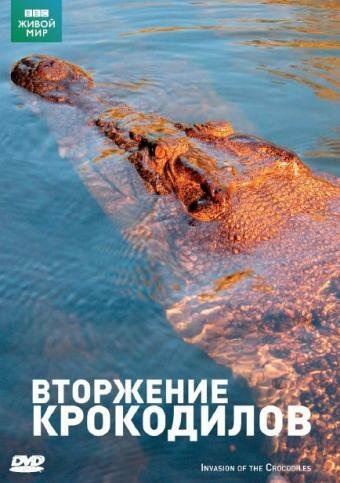 Обложка (Постер) BBC: Вторжение крокодилов / Invasion of the Crocodiles (2006) HDRip Обложка (Постер) BBC: Вторжение крокодилов / Invasion of the Crocodiles (2006) HDRip