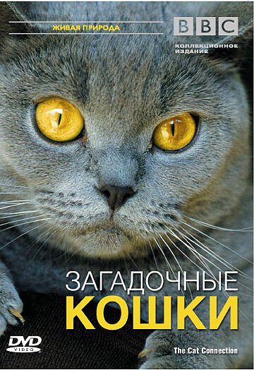 Обложка (Постер) BBC: Загадочные кошки / The Cat Connection (2002) HDRip