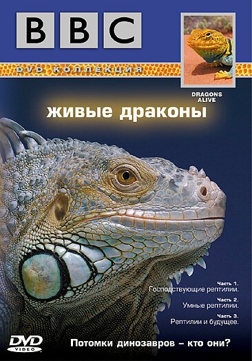 Обложка (Постер) BBC: Живые драконы / Dragons Alive (2004) HDRip Обложка (Постер) BBC: Живые драконы / Dragons Alive (2004) HDRip