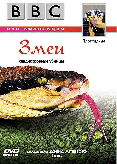 Обложка (Постер) BBC: Змеи / Wildlife Special. Serpent (2003) HDRip Обложка (Постер) BBC: Змеи / Wildlife Special. Serpent (2003) HDRip