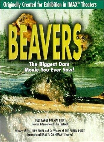 Обложка (Постер) Beavers (1988) SATRip
