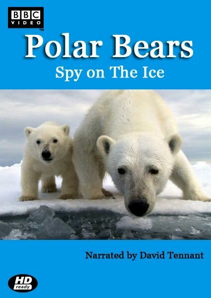 Обложка (Постер) Белый медведь: Шпион во льдах / Polar Bears: Spy on the Ice (2011) HDRip Обложка (Постер) Белый медведь: Шпион во льдах / Polar Bears: Spy on the Ice (2011) HDRip