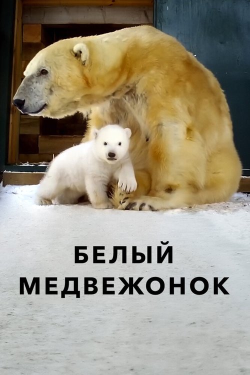 Обложка (Постер) Белый медвежонок / Britain's Polar Bear Cub (2018) HDRip
