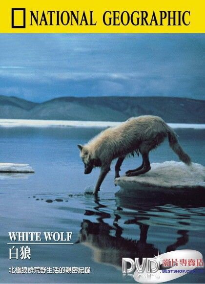 Обложка (Постер) Белый волк / National Geographic: White Wolf (1986) SATRip