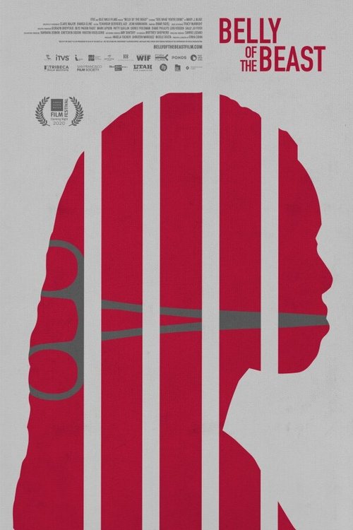 Обложка (Постер) Belly of the Beast (2020) HDRip