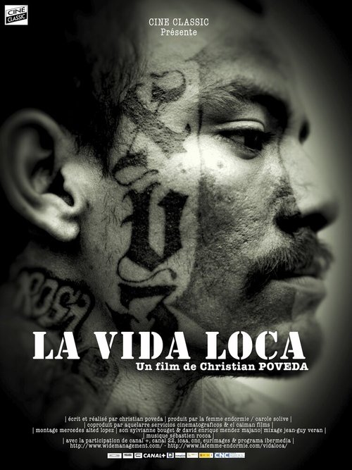Обложка (Постер) Безумная жизнь / La vida loca (2008) HDRip Обложка (Постер) Безумная жизнь / La vida loca (2008) HDRip