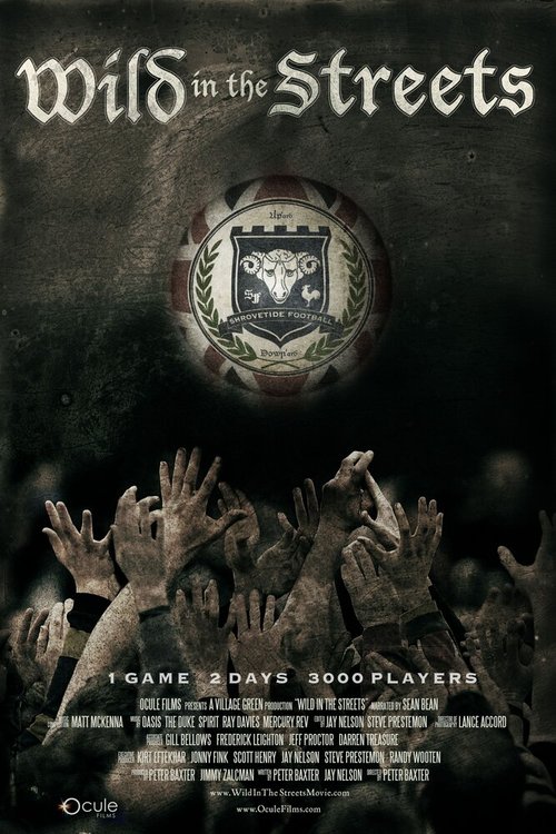 Обложка (Постер) Безумный футбол / Wild in the Streets (2012) HDRip Обложка (Постер) Безумный футбол / Wild in the Streets (2012) HDRip