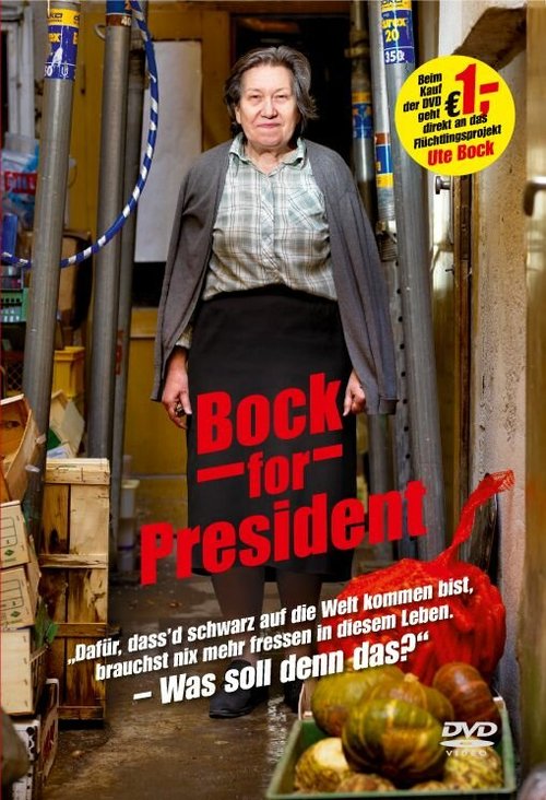 Обложка (Постер) Bock for President (2009) HDRip Обложка (Постер) Bock for President (2009) HDRip