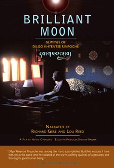 Обложка (Постер) Бриллиантовая луна / Brilliant Moon (2010) HDRip Обложка (Постер) Бриллиантовая луна / Brilliant Moon (2010) HDRip