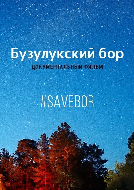 Обложка (Постер) Бузулукский бор (2018) HDRip