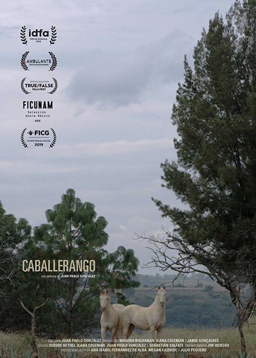 Обложка (Постер) Caballerango (2018) HDRip