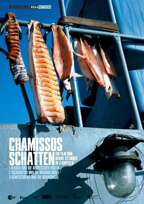 Обложка (Постер) Chamissos Schatten (2016) CAMRip Обложка (Постер) Chamissos Schatten (2016) CAMRip