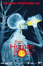 Обложка (Постер) Человеческое тело / The Human Body (2001) HDRip Обложка (Постер) Человеческое тело / The Human Body (2001) HDRip