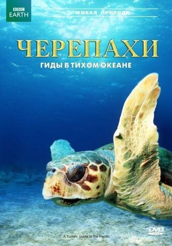Обложка (Постер) Черепахи: Гиды в Тихом океане / A Turtle's Guide to the Pacific (2008) HDRip Обложка (Постер) Черепахи: Гиды в Тихом океане / A Turtle's Guide to the Pacific (2008) HDRip