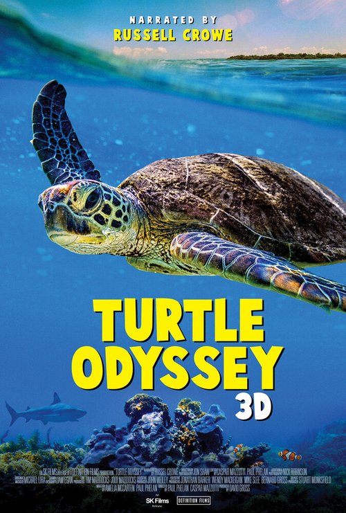 Обложка (Постер) Черепашья одиссея / Turtle Odyssey (2018) HDRip
