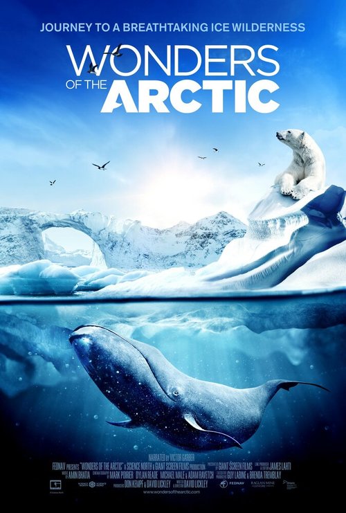 Обложка (Постер) Чудеса Арктики / Wonders of the Arctic 3D (2014) Обложка (Постер) Чудеса Арктики / Wonders of the Arctic 3D (2014)
