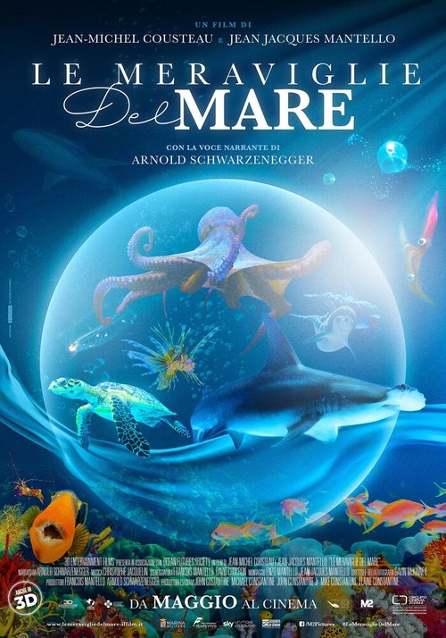 Обложка (Постер) Чудеса моря в 3D / Wonders of the Sea 3D (2017) HDRip Обложка (Постер) Чудеса моря в 3D / Wonders of the Sea 3D (2017) HDRip