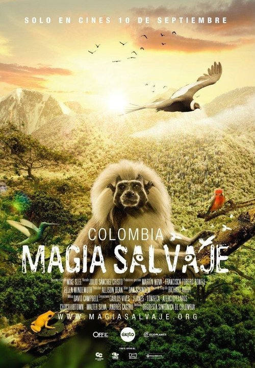 Обложка (Постер) Colombia magia salvaje (2015) HDRip Обложка (Постер) Colombia magia salvaje (2015) HDRip