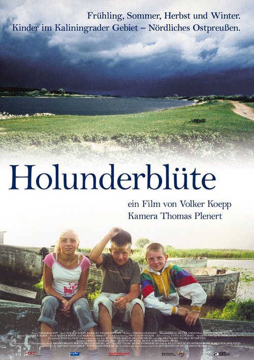 Обложка (Постер) Цветущая бузина / Holunderblüte (2007) HDRip Обложка (Постер) Цветущая бузина / Holunderblüte (2007) HDRip