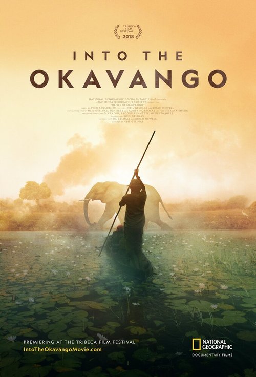 Обложка (Постер) Далеко в Окаванго / Into the Okavango (2018) HDRip