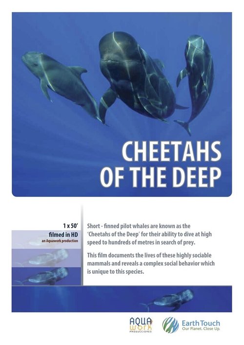 Обложка (Постер) Дельфины — гепарды морских глубин / Cheetahs of the Deep (2014) Обложка (Постер) Дельфины — гепарды морских глубин / Cheetahs of the Deep (2014)
