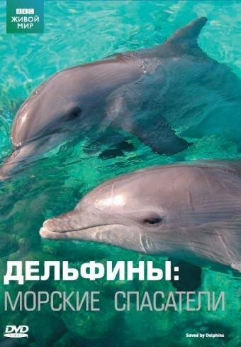 Обложка (Постер) Дельфины: Морские спасатели / Saved by Dolphins (2008) HDRip Обложка (Постер) Дельфины: Морские спасатели / Saved by Dolphins (2008) HDRip