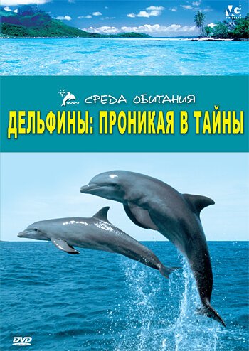 Обложка (Постер) Дельфины: Проникая в тайны / Dolphins: The Code Breaker (2006) HDRip Обложка (Постер) Дельфины: Проникая в тайны / Dolphins: The Code Breaker (2006) HDRip