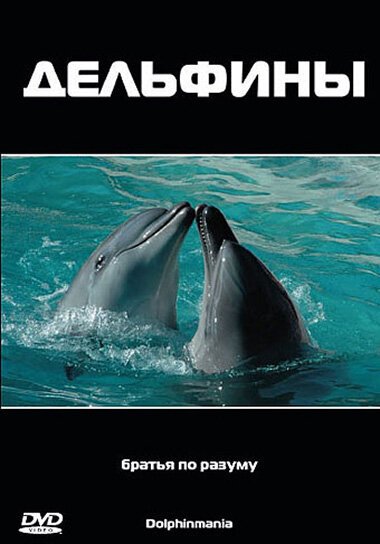 Обложка (Постер) Дельфины / Dolphinmania (2003) HDRip Обложка (Постер) Дельфины / Dolphinmania (2003) HDRip