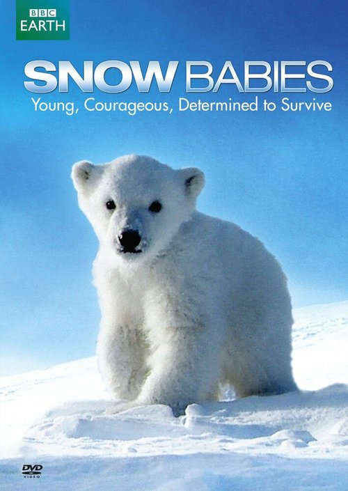 Обложка (Постер) Дети снегов / Snow Babies (2012) HDRip Обложка (Постер) Дети снегов / Snow Babies (2012) HDRip