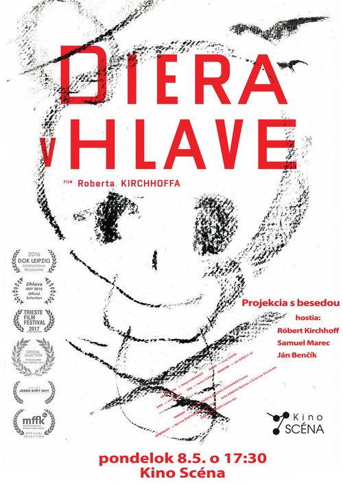 Обложка (Постер) Дыра в голове / Diera v Hlave (2017) HDRip