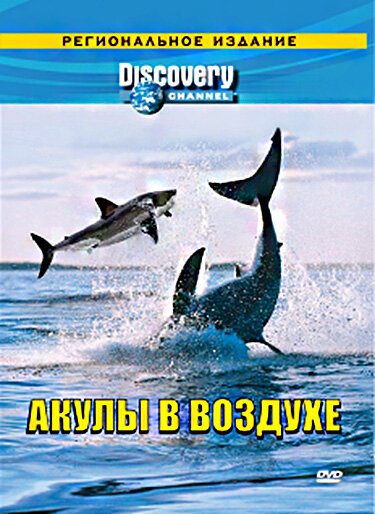 Обложка (Постер) Discovery: Акулы в воздухе / Air Jaws II: Even Higher (2002) HDRip Обложка (Постер) Discovery: Акулы в воздухе / Air Jaws II: Even Higher (2002) HDRip