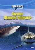 Обложка (Постер) Discovery: Акулы Южной Африки / Air Jaws: Sharks of South Africa (2001) 
