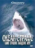 Обложка (Постер) Discovery: Океан страха. Самое страшное нападение акул / Ocean of Fear (2007) HDRip Обложка (Постер) Discovery: Океан страха. Самое страшное нападение акул / Ocean of Fear (2007) HDRip