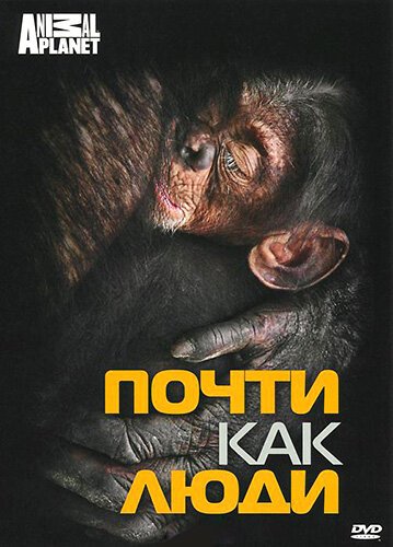 Обложка (Постер) Discovery: Почти как люди / Almost Human with Jane Goodall (2007) HDRip Обложка (Постер) Discovery: Почти как люди / Almost Human with Jane Goodall (2007) HDRip