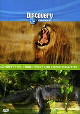 Обложка (Постер) Discovery. Схватка: Лев против крокодила / Animal Face-Off: Lion vs. Nile crocodile (2004) HDRip Обложка (Постер) Discovery. Схватка: Лев против крокодила / Animal Face-Off: Lion vs. Nile crocodile (2004) HDRip