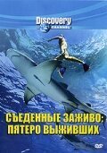 Обложка (Постер) Discovery: Съеденные заживо. Пятеро выживших / Top Five Eaten Alive (2007) HDRip Обложка (Постер) Discovery: Съеденные заживо. Пятеро выживших / Top Five Eaten Alive (2007) HDRip