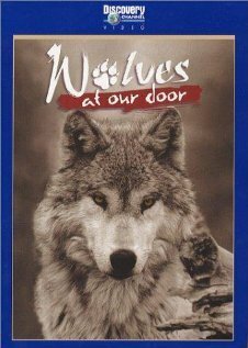 Обложка (Постер) Discovery: Волки / Wolves at Our Door (1997) HDRip