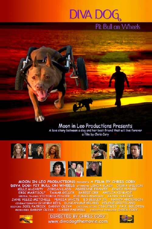 Обложка (Постер) Diva Dog: Pit Bull on Wheels (2005) Обложка (Постер) Diva Dog: Pit Bull on Wheels (2005)