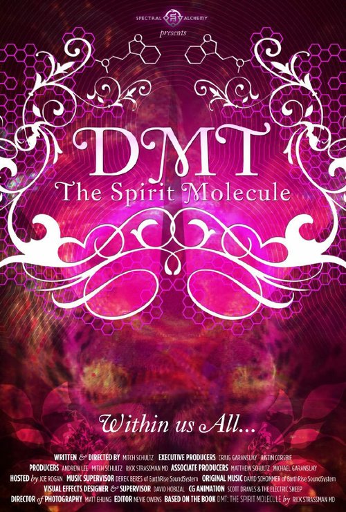 Обложка (Постер) ДМТ: Молекула духа / DMT: The Spirit Molecule (2010) HDRip Обложка (Постер) ДМТ: Молекула духа / DMT: The Spirit Molecule (2010) HDRip