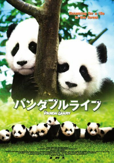 Обложка (Постер) Дневник панды / Pandafuru raifu (2008) Обложка (Постер) Дневник панды / Pandafuru raifu (2008)