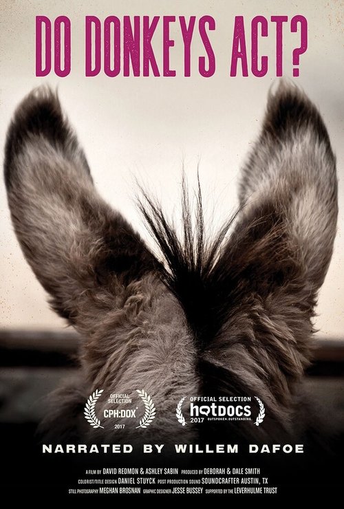 Обложка (Постер) Do Donkeys Act? (2017) HDRip