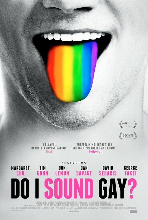 Обложка (Постер) Do I Sound Gay? (2014) HDRip Обложка (Постер) Do I Sound Gay? (2014) HDRip