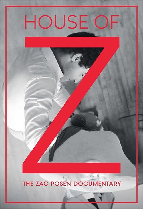 Обложка (Постер) Дом Z / House of Z (2017) HDRip Обложка (Постер) Дом Z / House of Z (2017) HDRip